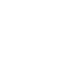 White Rosette Icon
